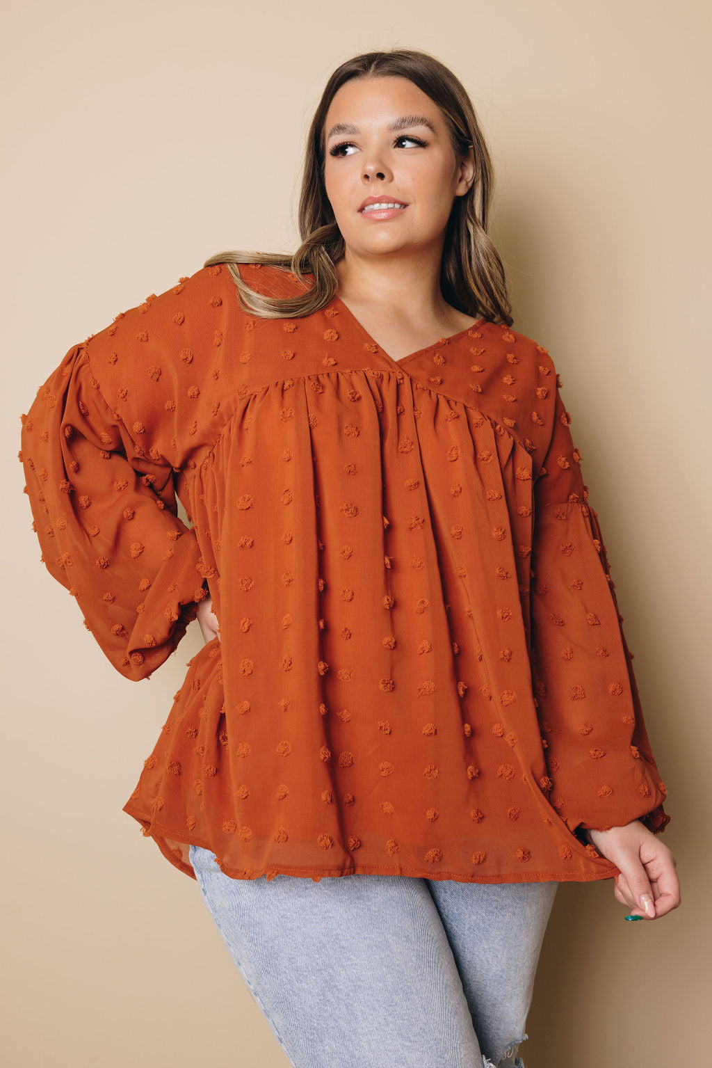 Plus Size - Dinah Swiss Dot Long Sleeve Top-10