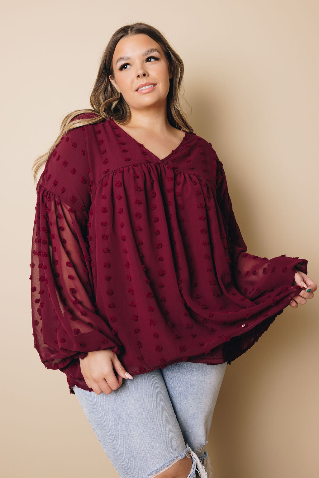 Plus Size - Dinah Swiss Dot Long Sleeve Top-0